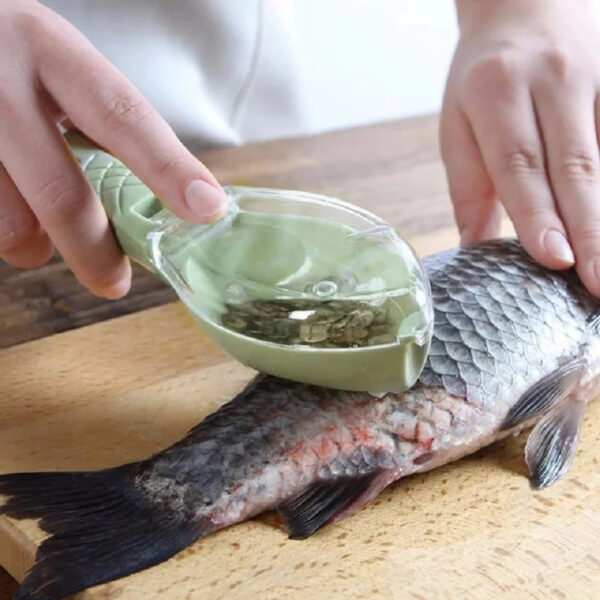 Fish skin brush scraping fish scale brush grater quick disassembly fish knife cleaning peeling skin scraper scraper fish scale - Image 4