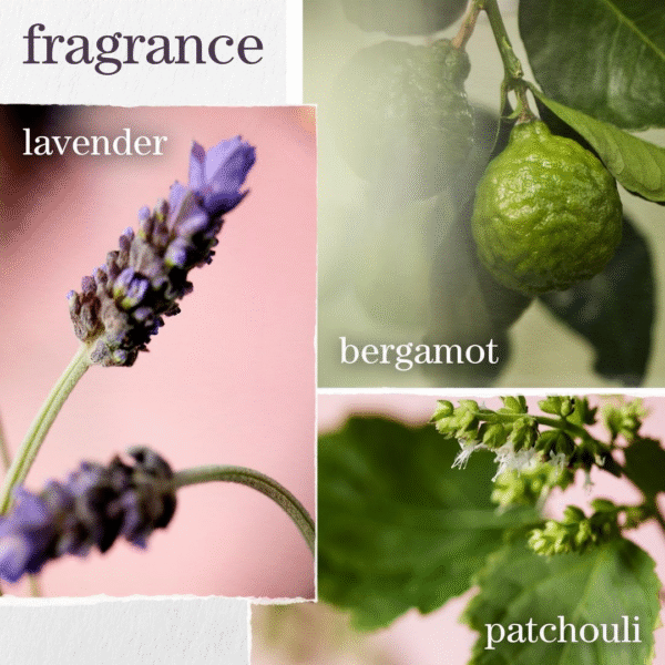 Hydrate Shampoo - Image 4
